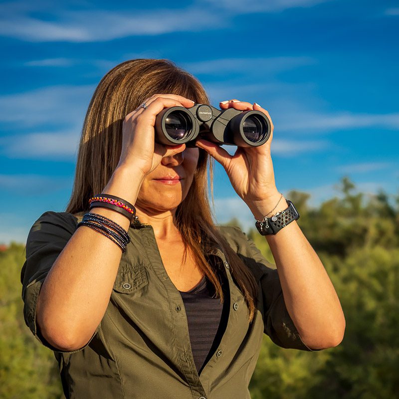 دوربین دوچشمی الیمپوس Olympus 8×40 S