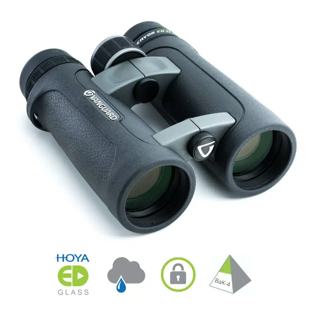 دوربین شکاری دوچشمی ونگارد Vanguard Endeavor ED II 8X42
