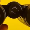 دوربین شکاری دوچشمی زایس ZEISS Victory SF 10x42 - Image 12