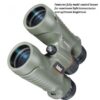 دوربین شکاری دوچشمی بوشنل Bushnell trophy 10×42 - Image 5